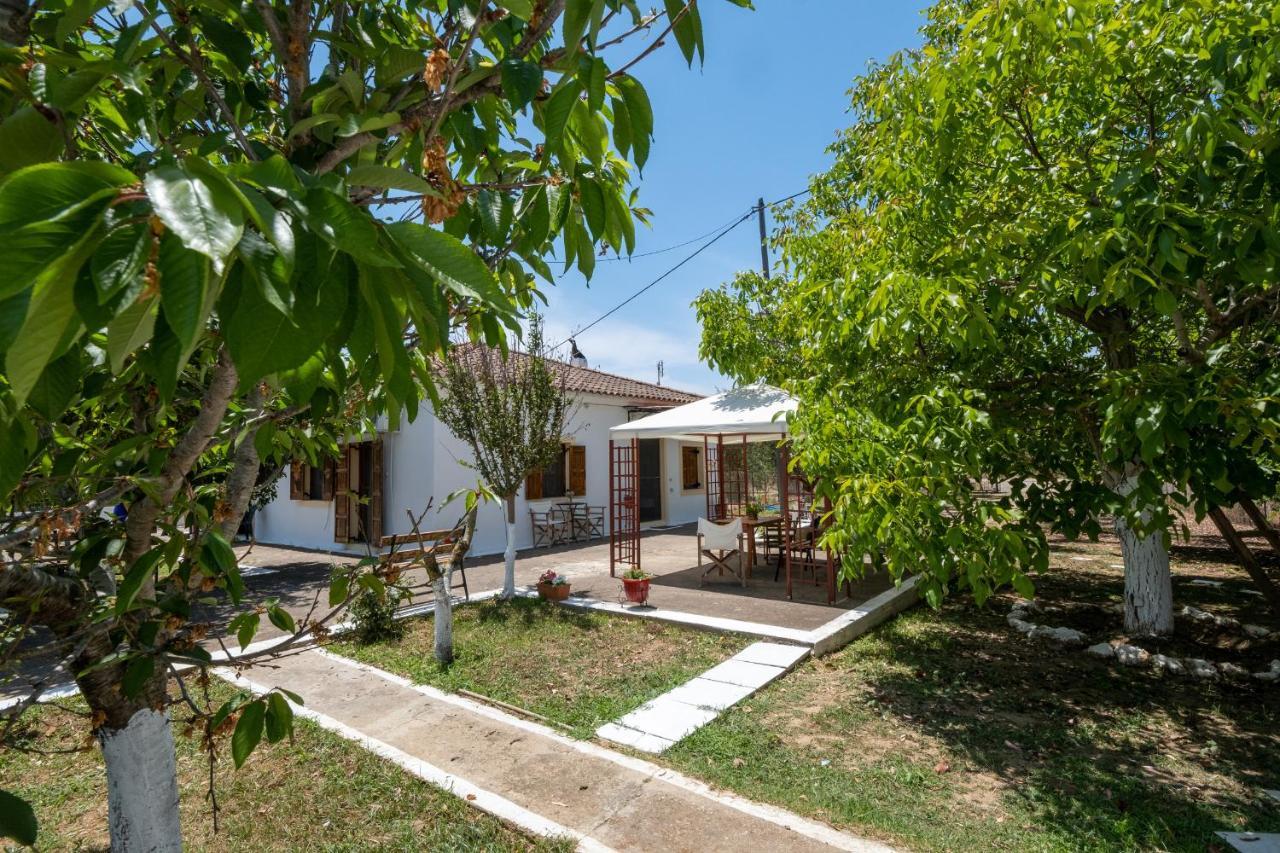 Nagia'S House, Εξοχική Κατοικία Κοντά Στη Θάλασσα! Korakokhórion 外观 照片
